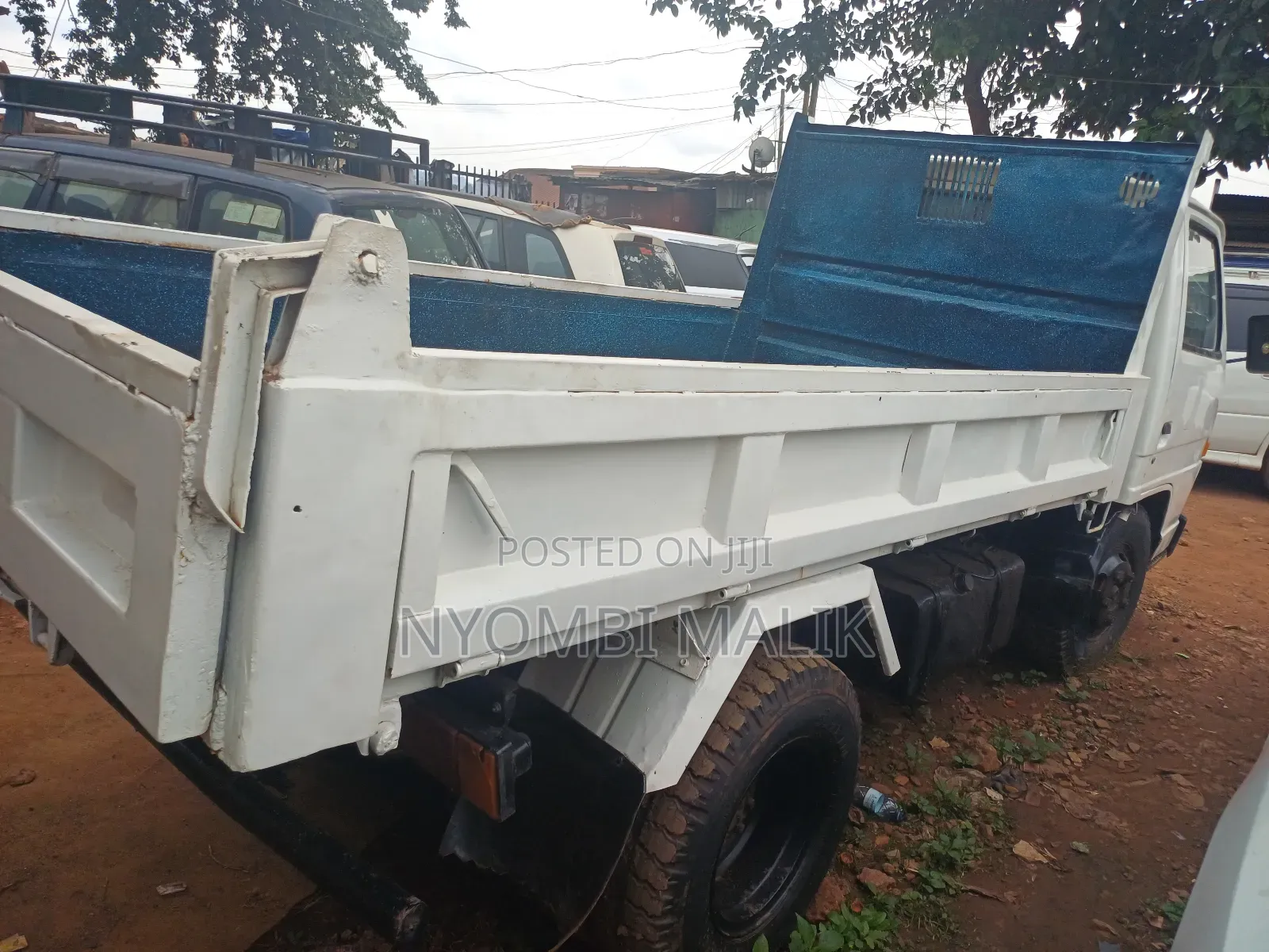 Tipper White
