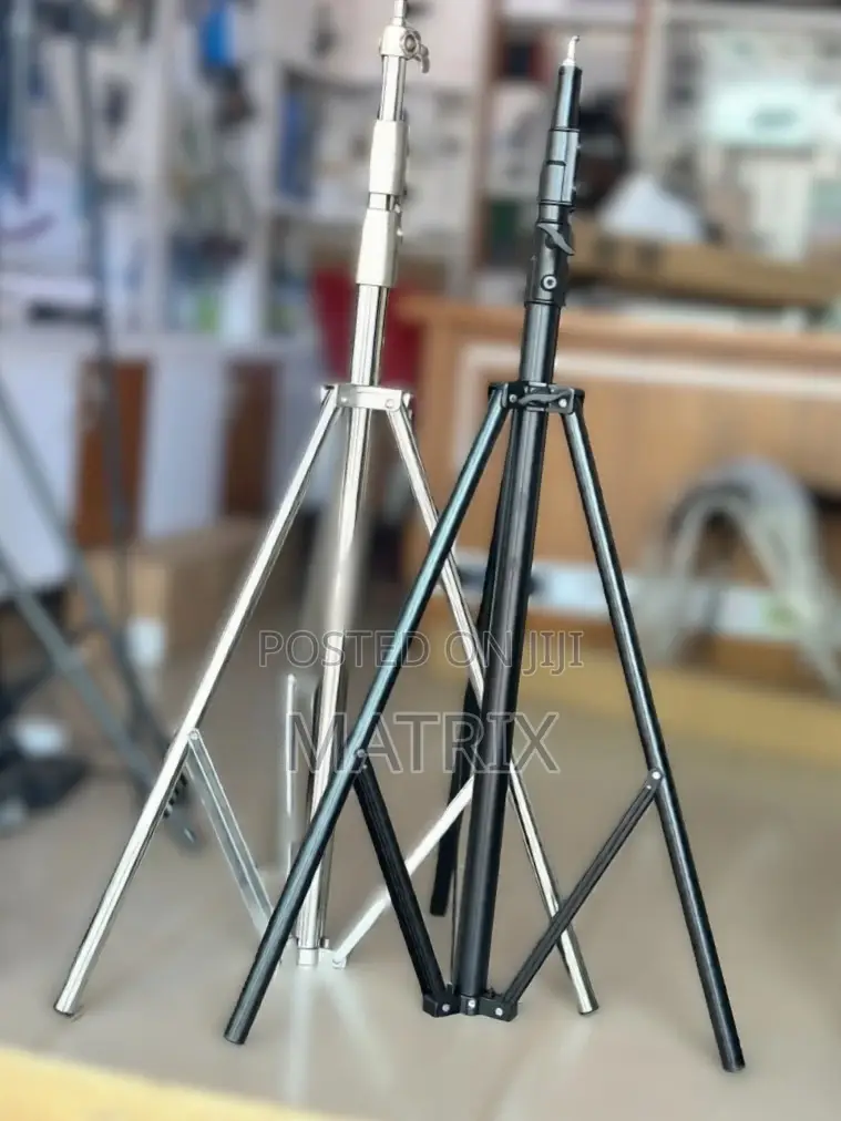 Silver Light Stand