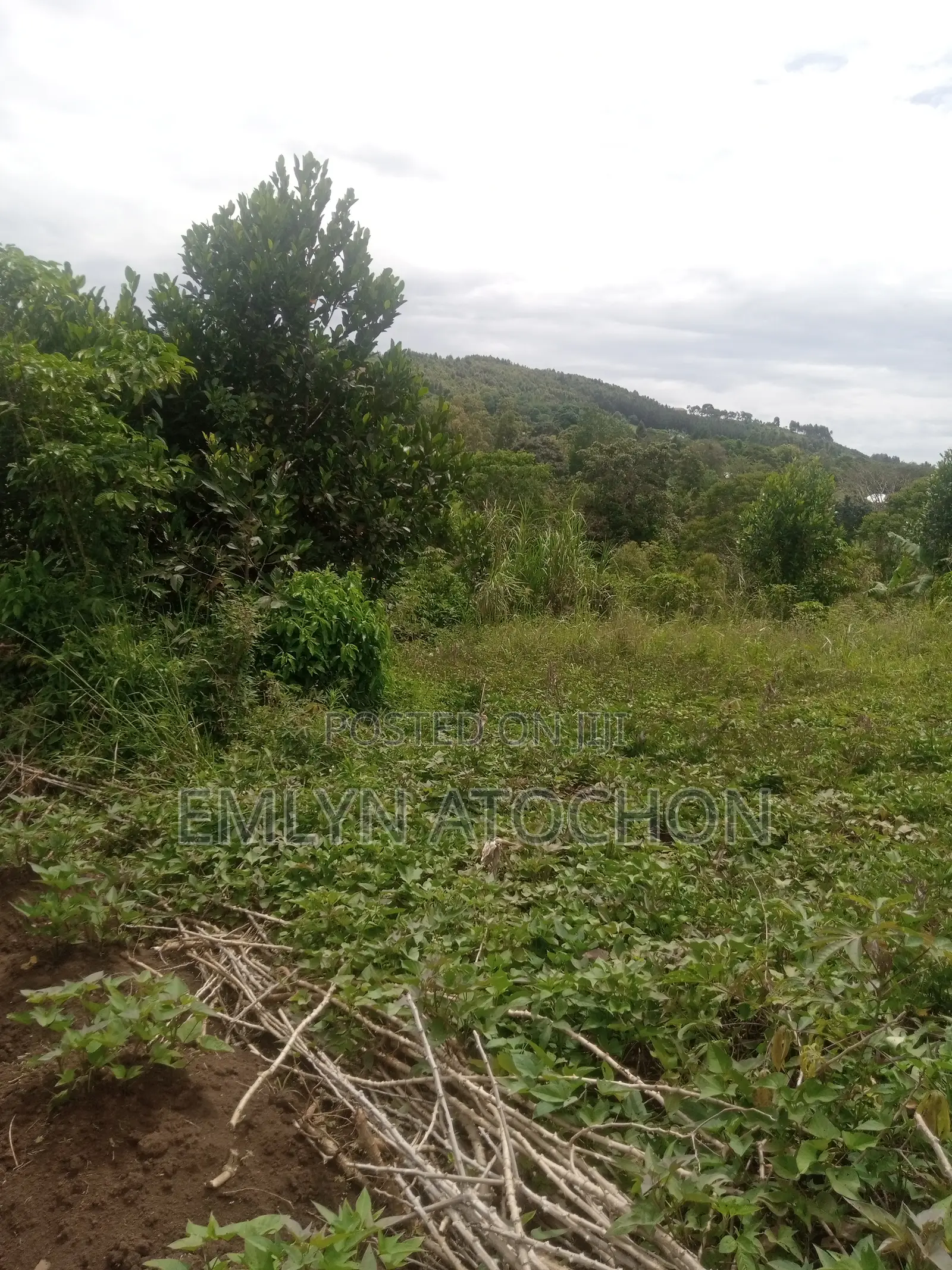 Titled Land 50 X 100 Residential Land for Sale in Migi