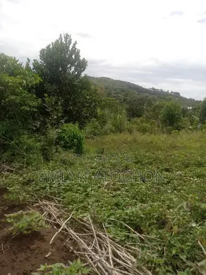 Titled Land 50 X 100 Residential Land for Sale in Migi