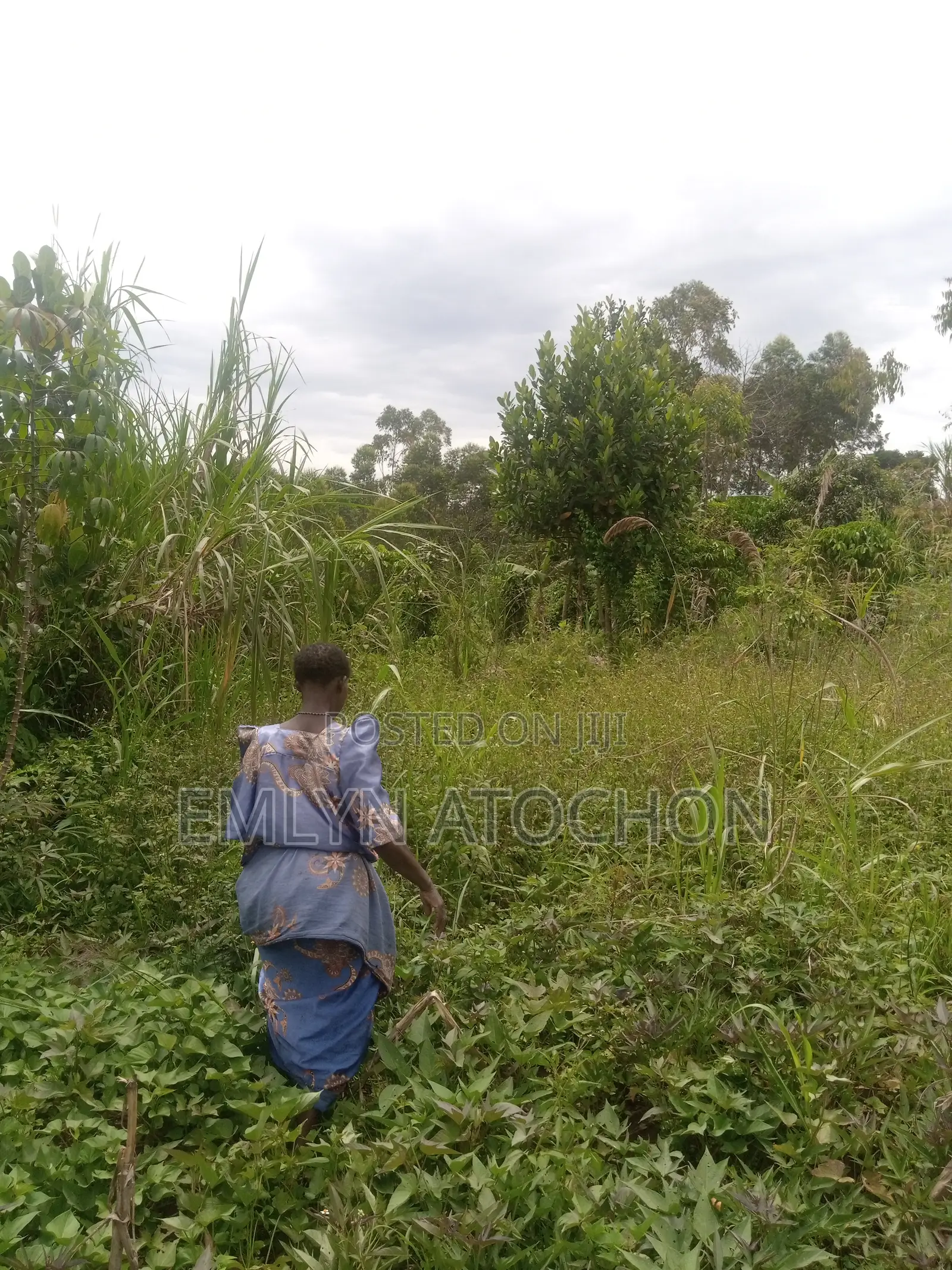 Titled Land 50 X 100 Residential Land for Sale in Migi