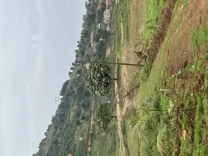 Wakiso Mabwombe Estate