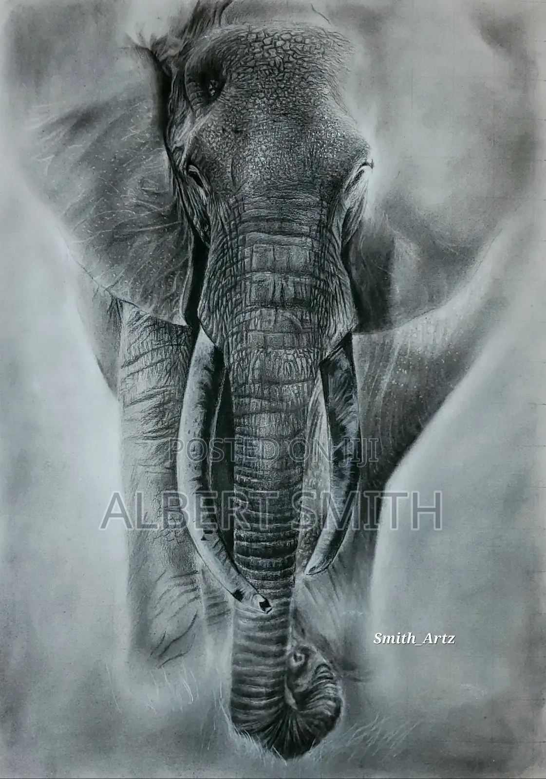 Art Pieces