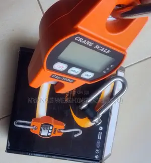Crane Weighing Scale 300kg Weigh Accurate Digital Weighing Scale