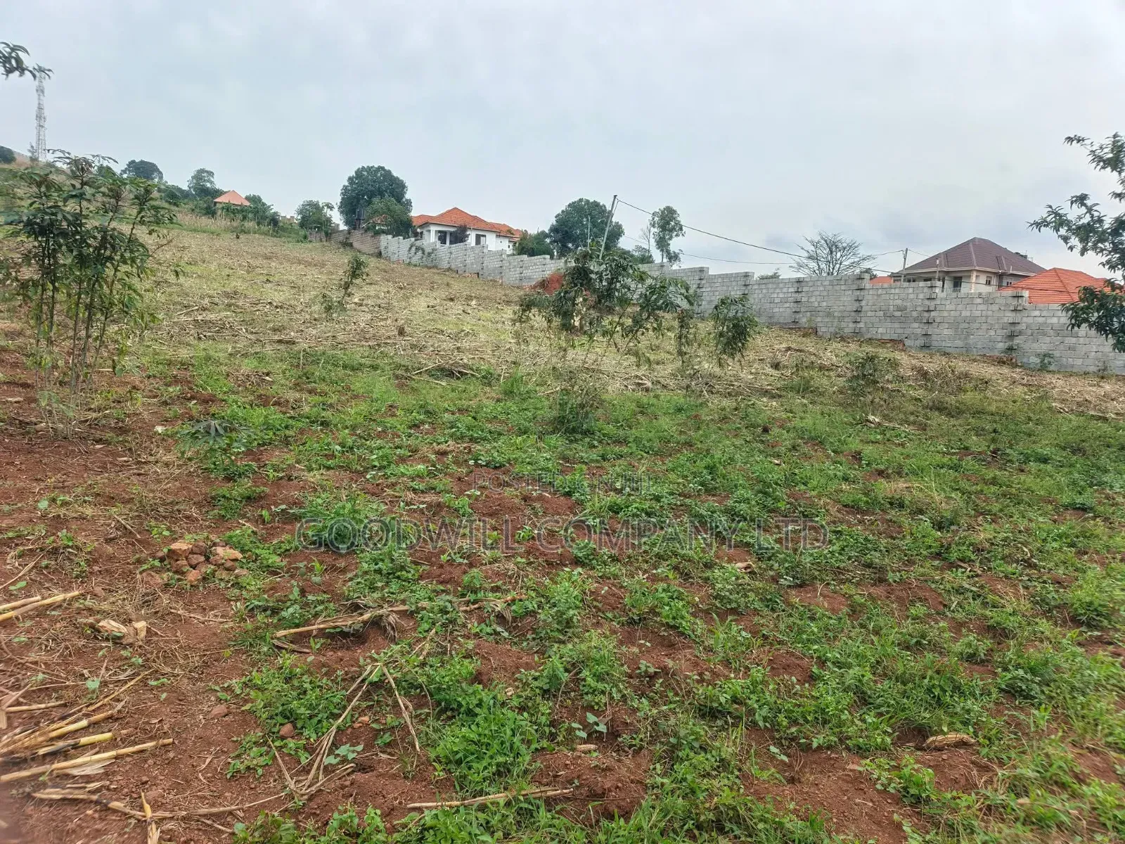 24 Decimals Plot of Land Seeta_gulama Off Jinja Rd
