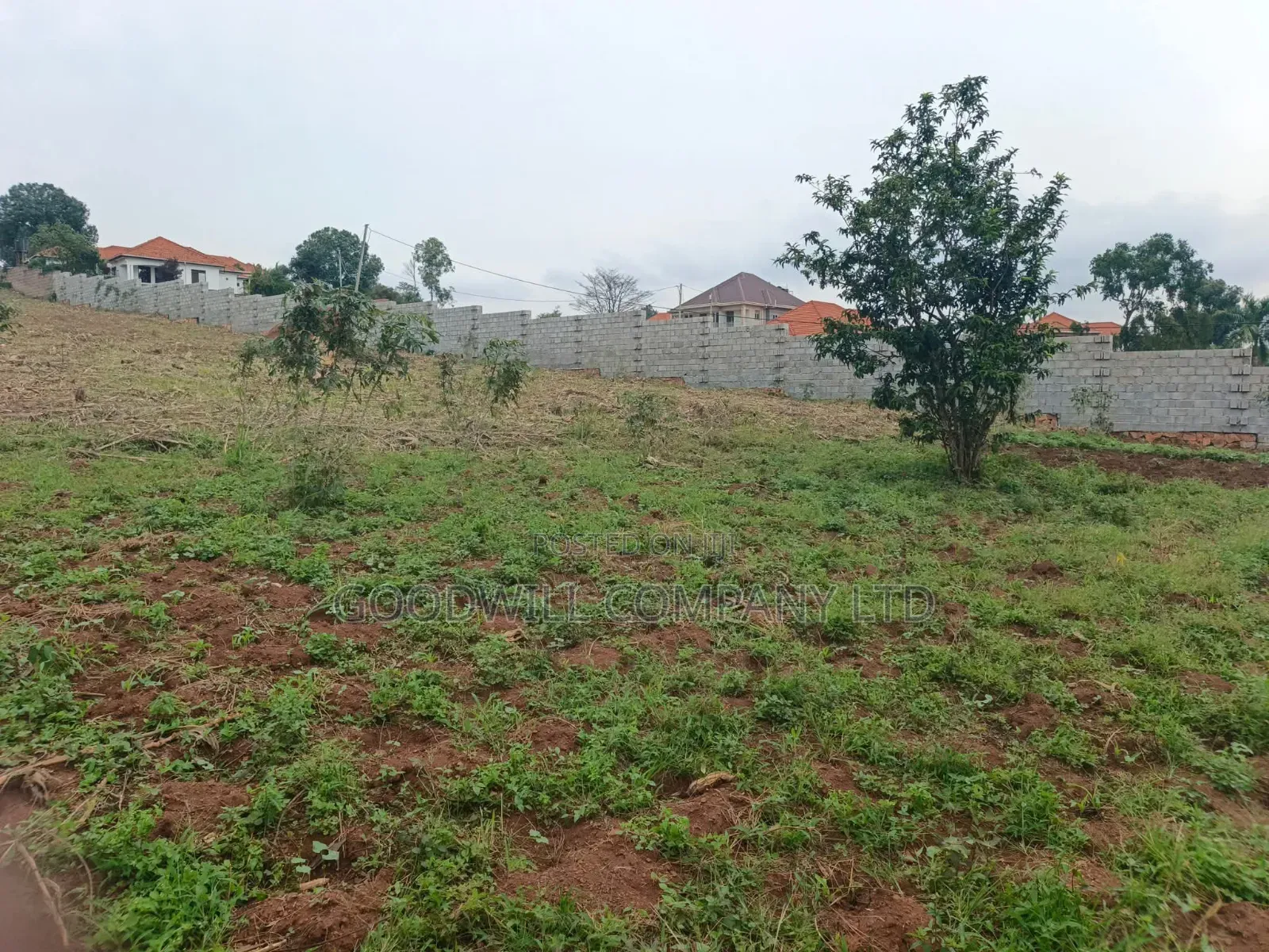24 Decimals Plot of Land Seeta_gulama Off Jinja Rd