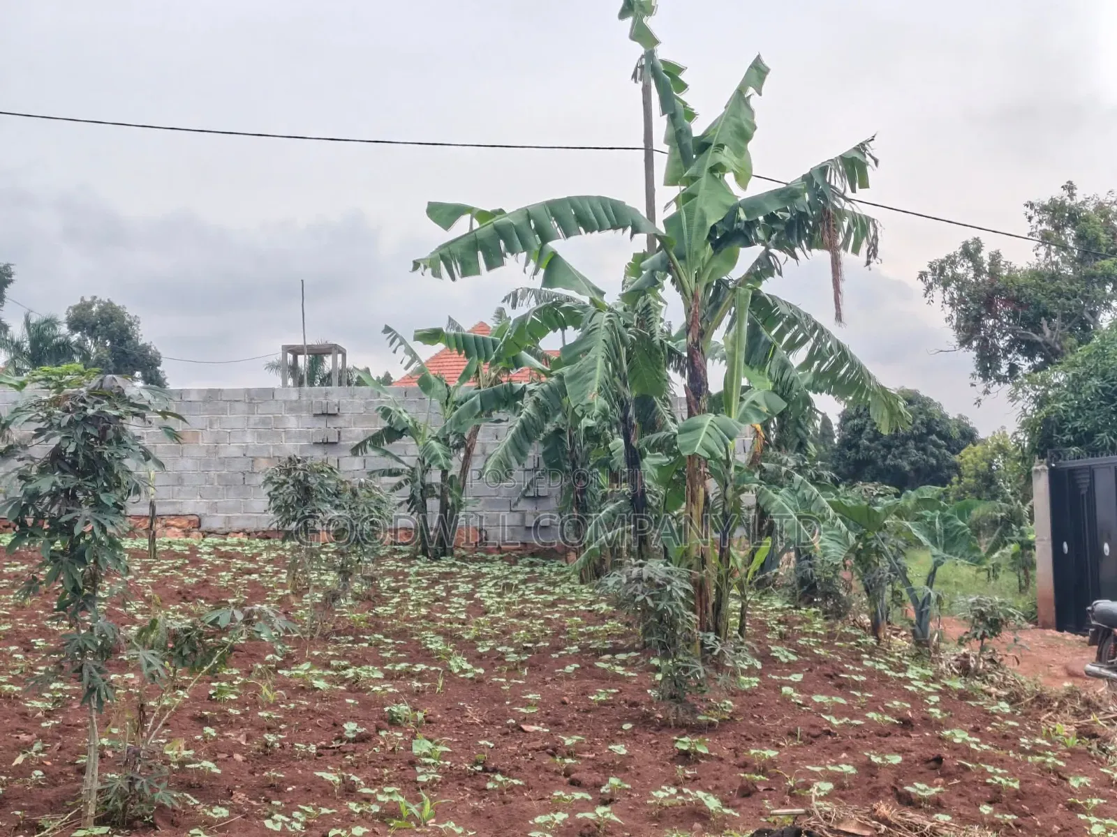 24 Decimals Plot of Land Seeta_gulama Off Jinja Rd