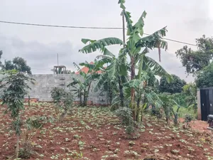 24 Decimals Plot of Land Seeta_gulama Off Jinja Rd