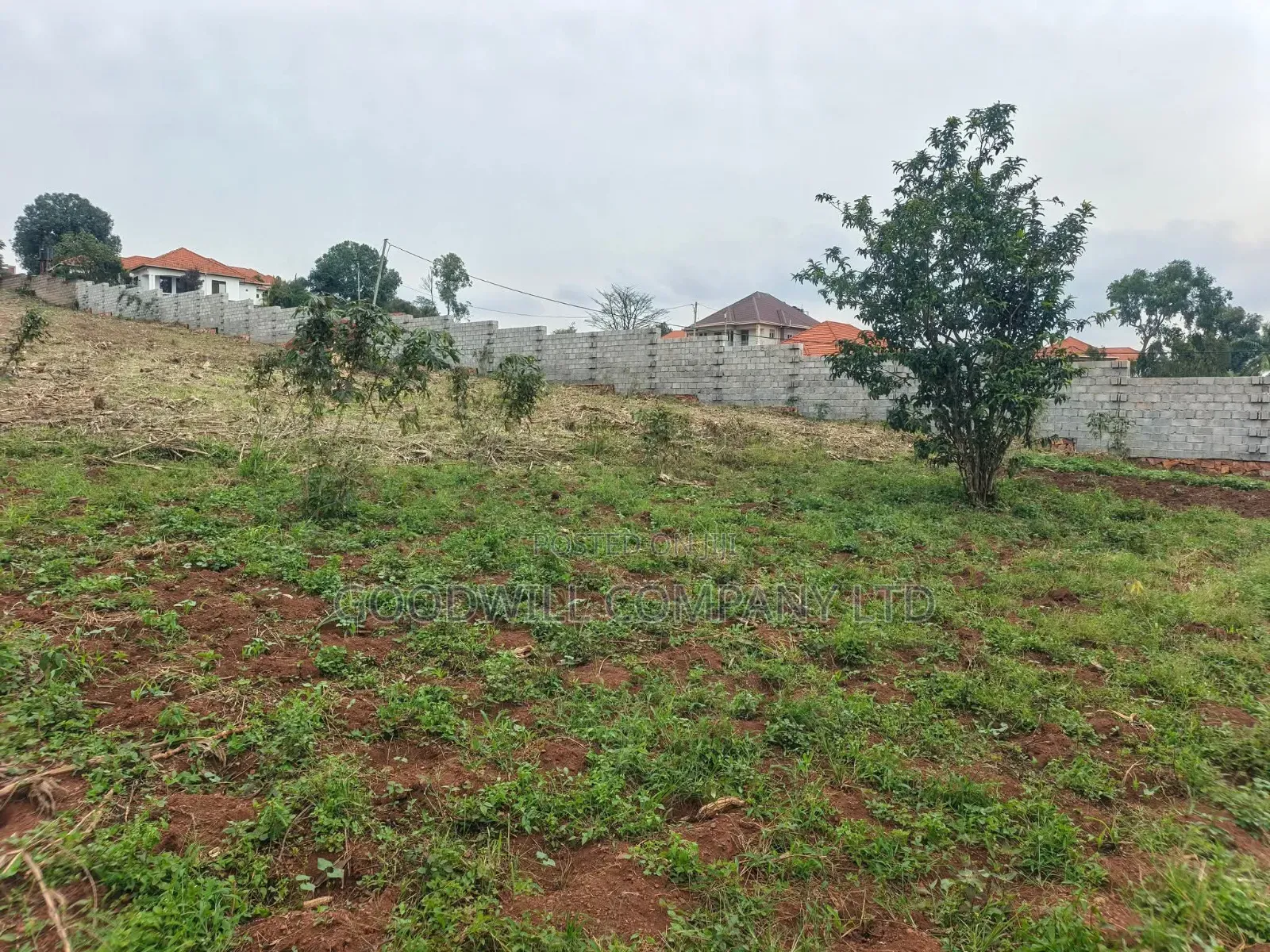 24 Decimals Plot of Land Seeta_gulama Off Jinja Rd