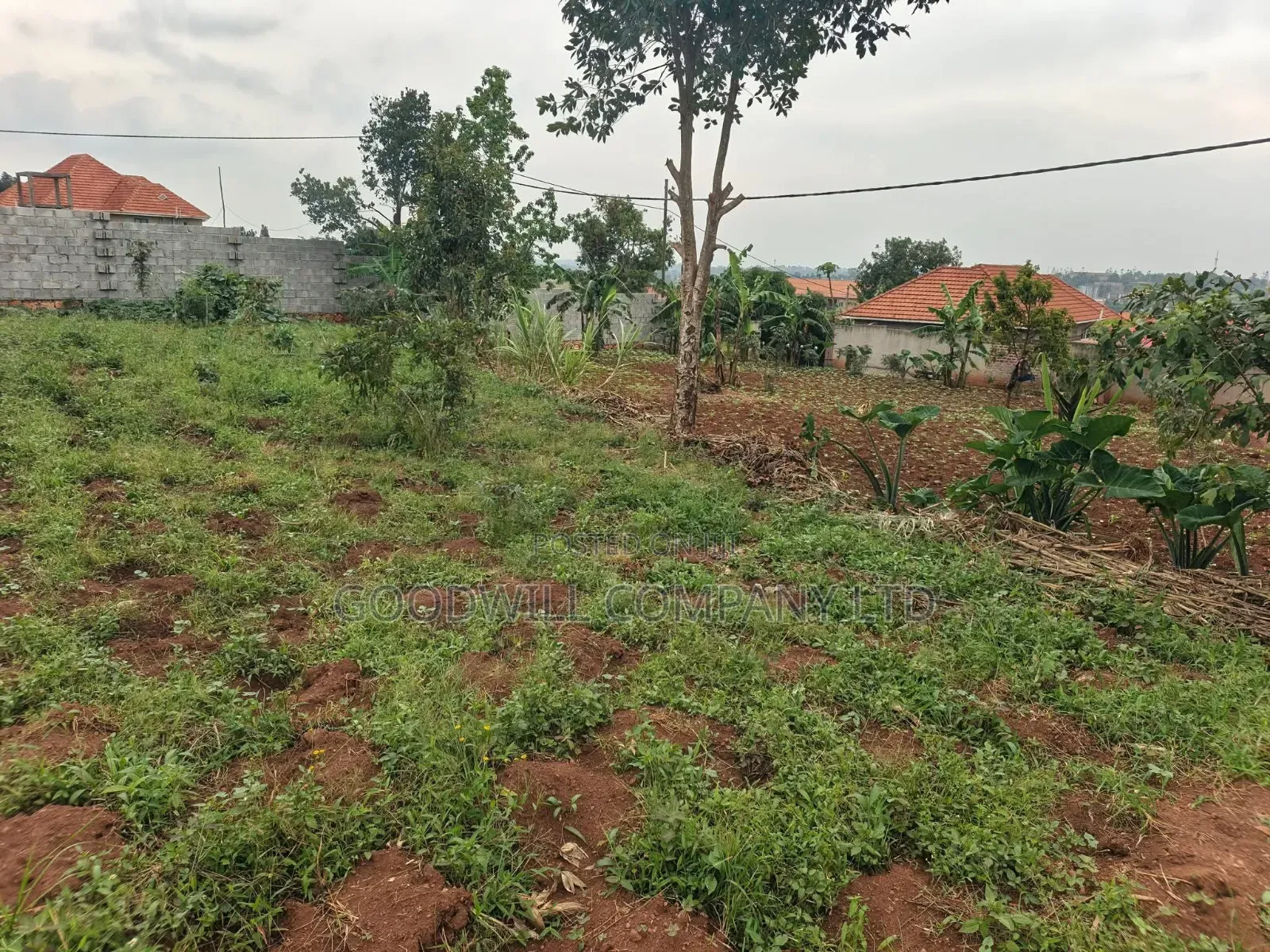 24 Decimals Plot of Land Seeta_gulama Off Jinja Rd