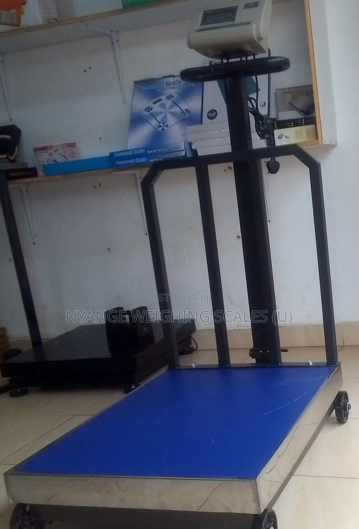 Steady Performance Weighing Scale 700kg Weigh Digital Weighing Scale