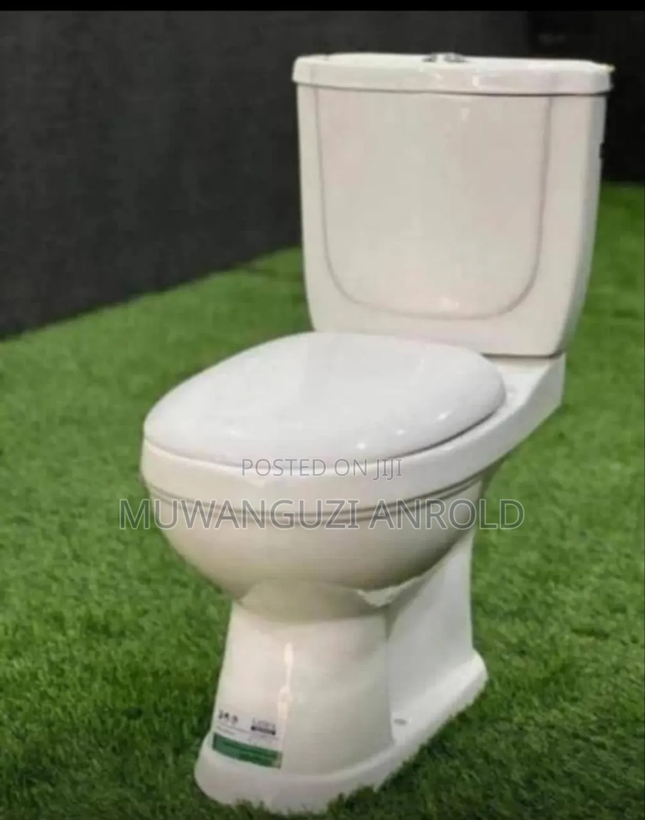 Sitting Toilet