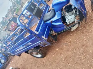 Tricycle 2024 Blue