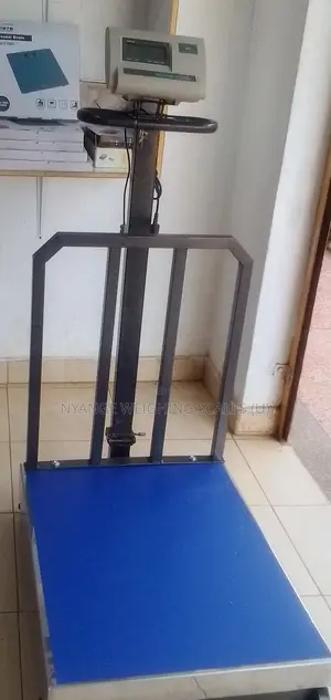 Platform Weighing Scale Stainless Steal Plate Electronic Weigh Scale