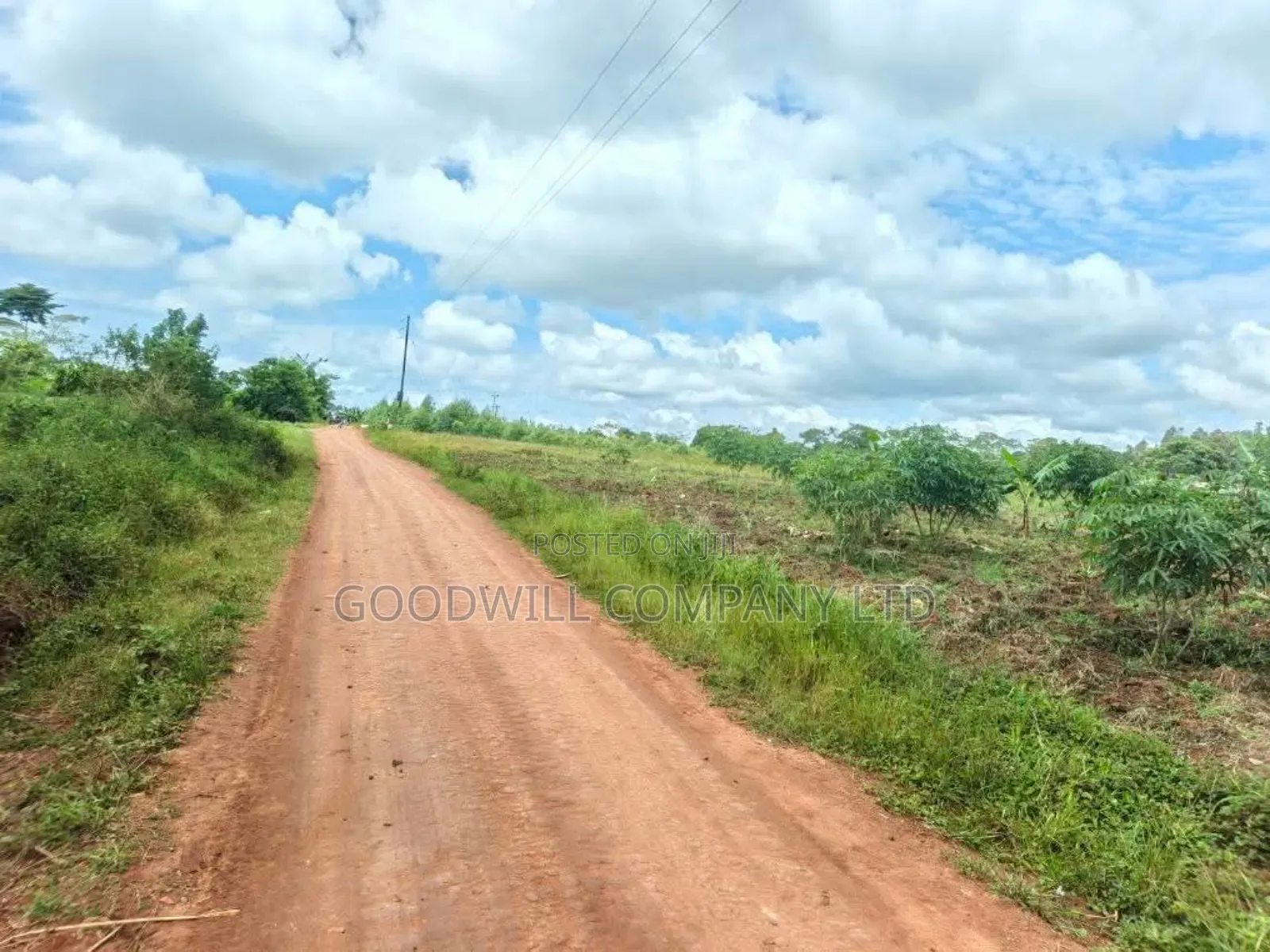 Half Acre Mukono_ntenjeru Bunakijja Village Marram Rd Katosi Rd