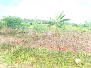 Half Acre Mukono_ntenjeru Bunakijja Village Marram Rd Katosi Rd