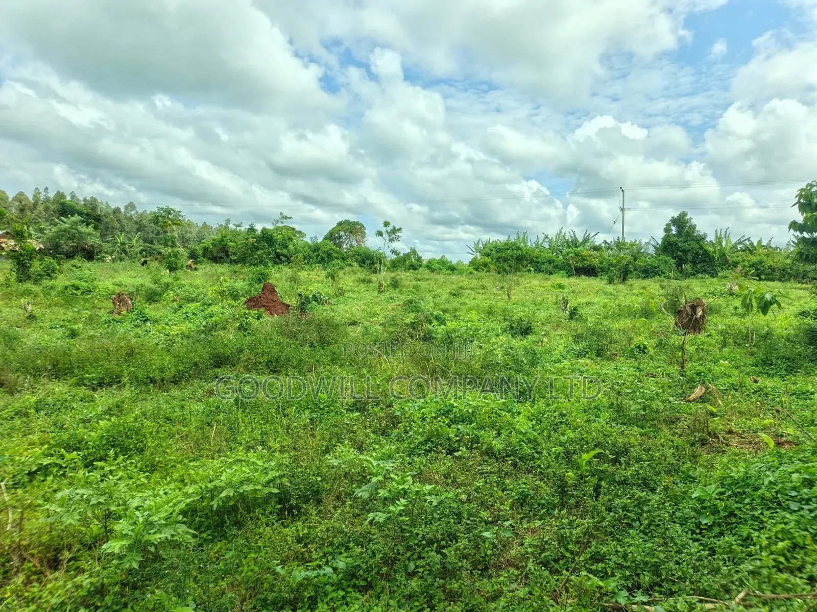 2 Acres of Land at Mukono Ntenjeru Bunakijja Katosi Rd Touching on Rd