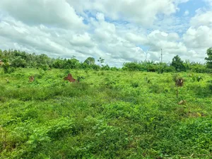 2 Acres of Land at Mukono Ntenjeru Bunakijja Katosi Rd Touching on Rd