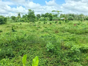 2 Acres of Land at Mukono Ntenjeru Bunakijja Katosi Rd Touching on Rd