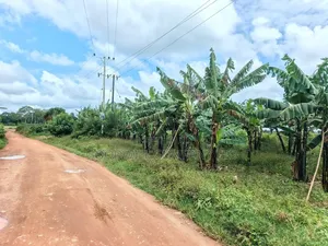 2 Acres of Land at Mukono Ntenjeru Bunakijja Katosi Rd Touching on Rd