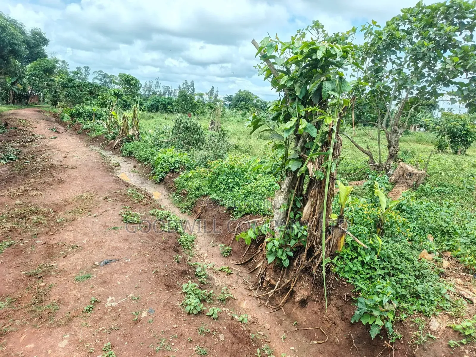 2 Acres of Land at Mukono Ntenjeru Bunakijja Katosi Rd Touching on Rd