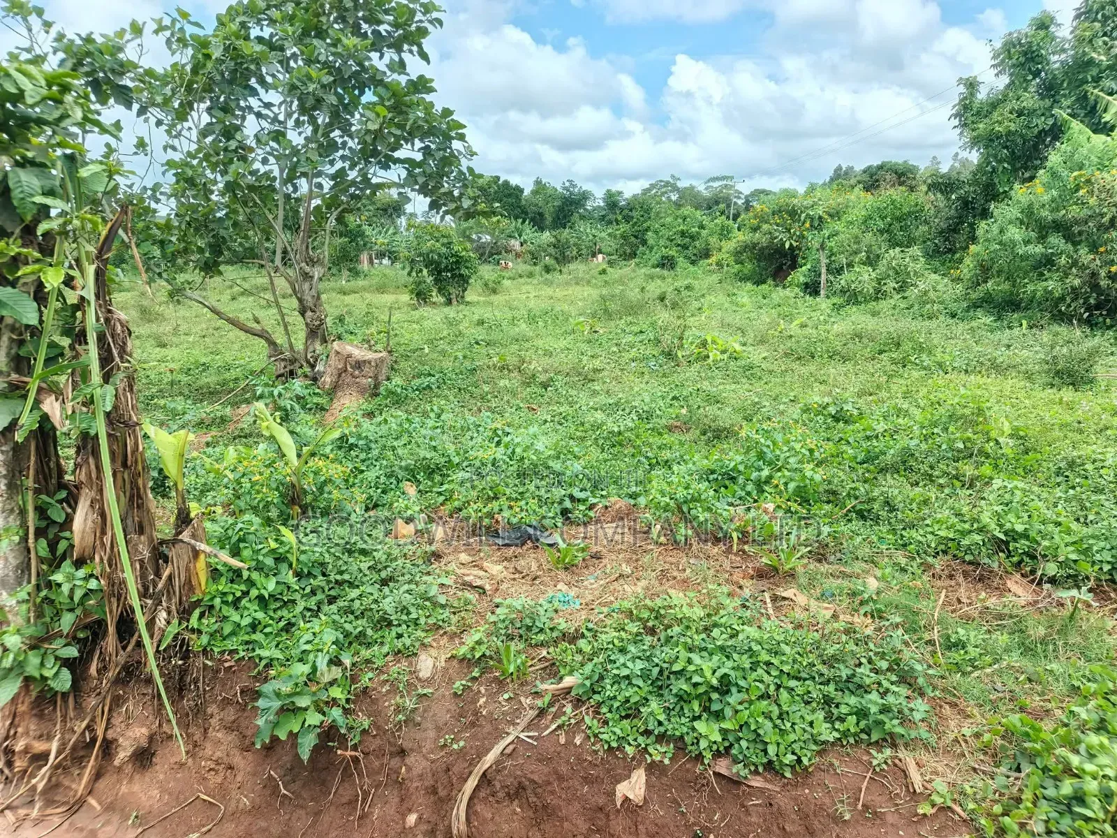 2 Acres of Land at Mukono Ntenjeru Bunakijja Katosi Rd Touching on Rd