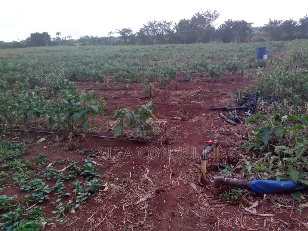 20 Acres of Private Mailo Fenced Farming Land on Sale in Kapeeka