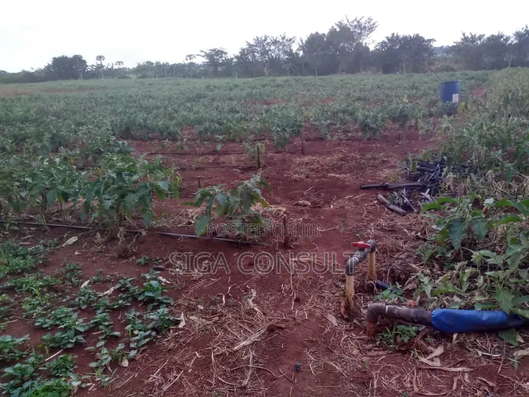 20 Acres of Private Mailo Fenced Farming Land on Sale in Kapeeka