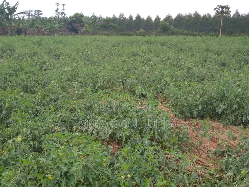 20 Acres of Private Mailo Fenced Farming Land on Sale in Kapeeka