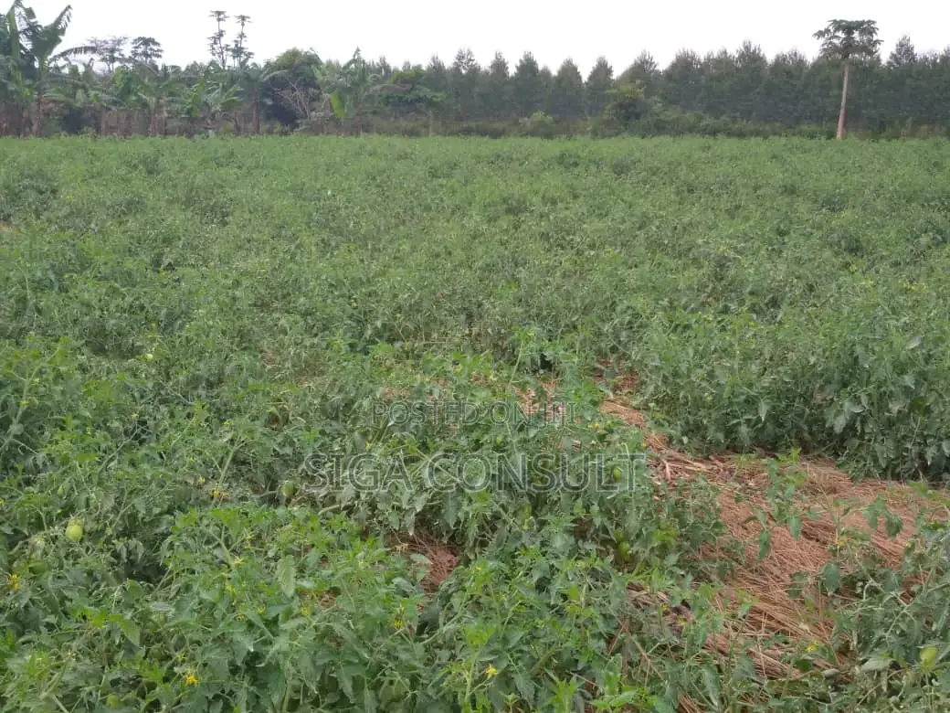 20 Acres of Private Mailo Fenced Farming Land on Sale in Kapeeka