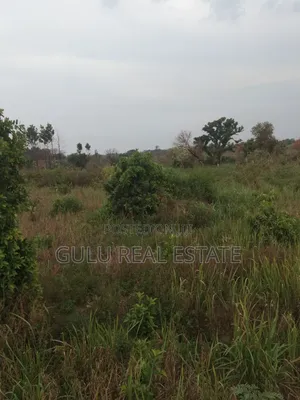 Farm Land for Sale in Gulu Koro