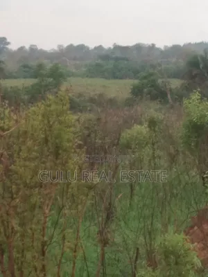 Farm Land for Sale in Gulu Koro