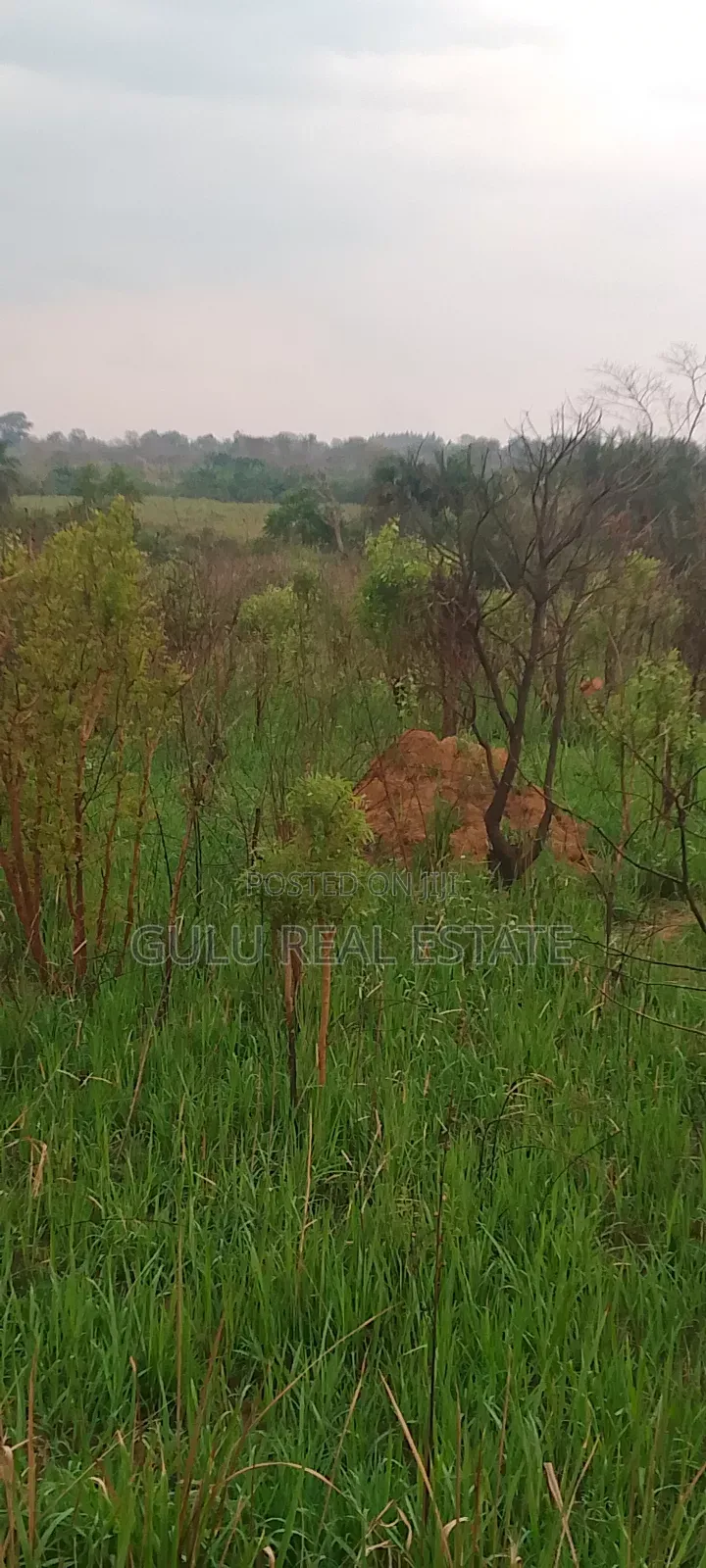 Farm Land for Sale in Gulu Koro