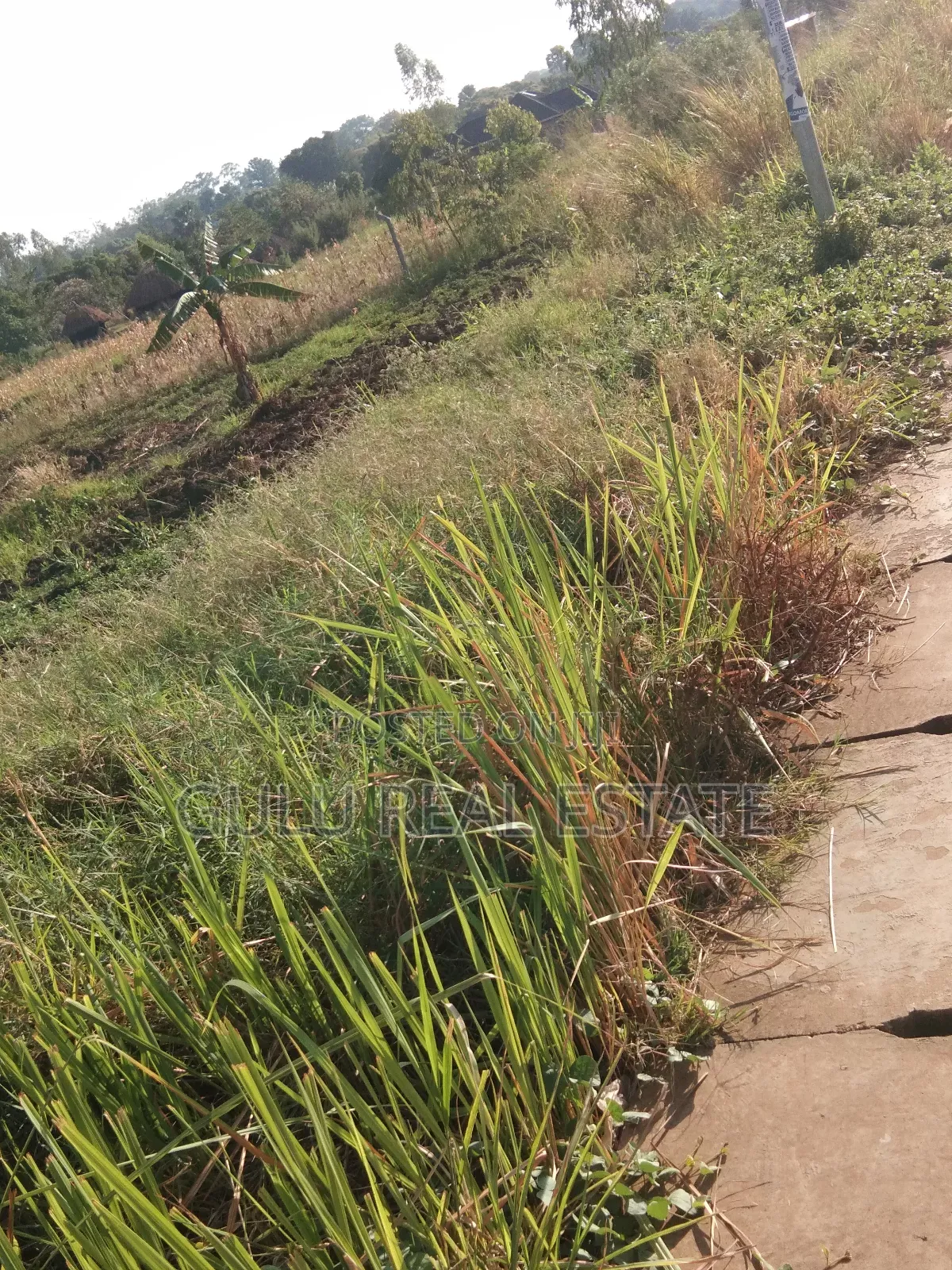 Commercial Land for Sale in Gulu City