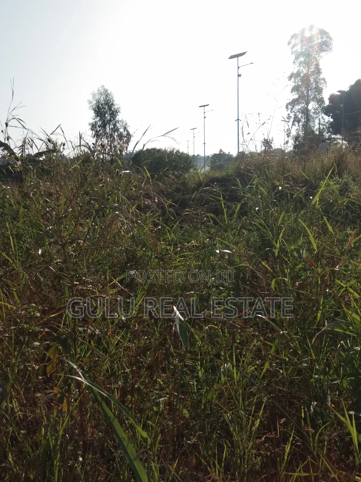 Commercial Land for Sale in Gulu City
