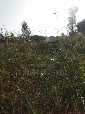 Commercial Land for Sale in Gulu City