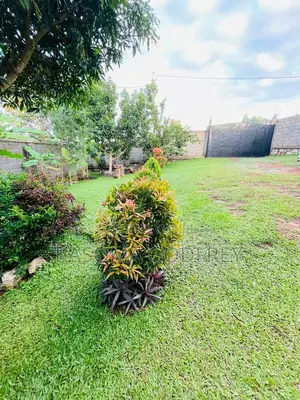 Kasoma Estates