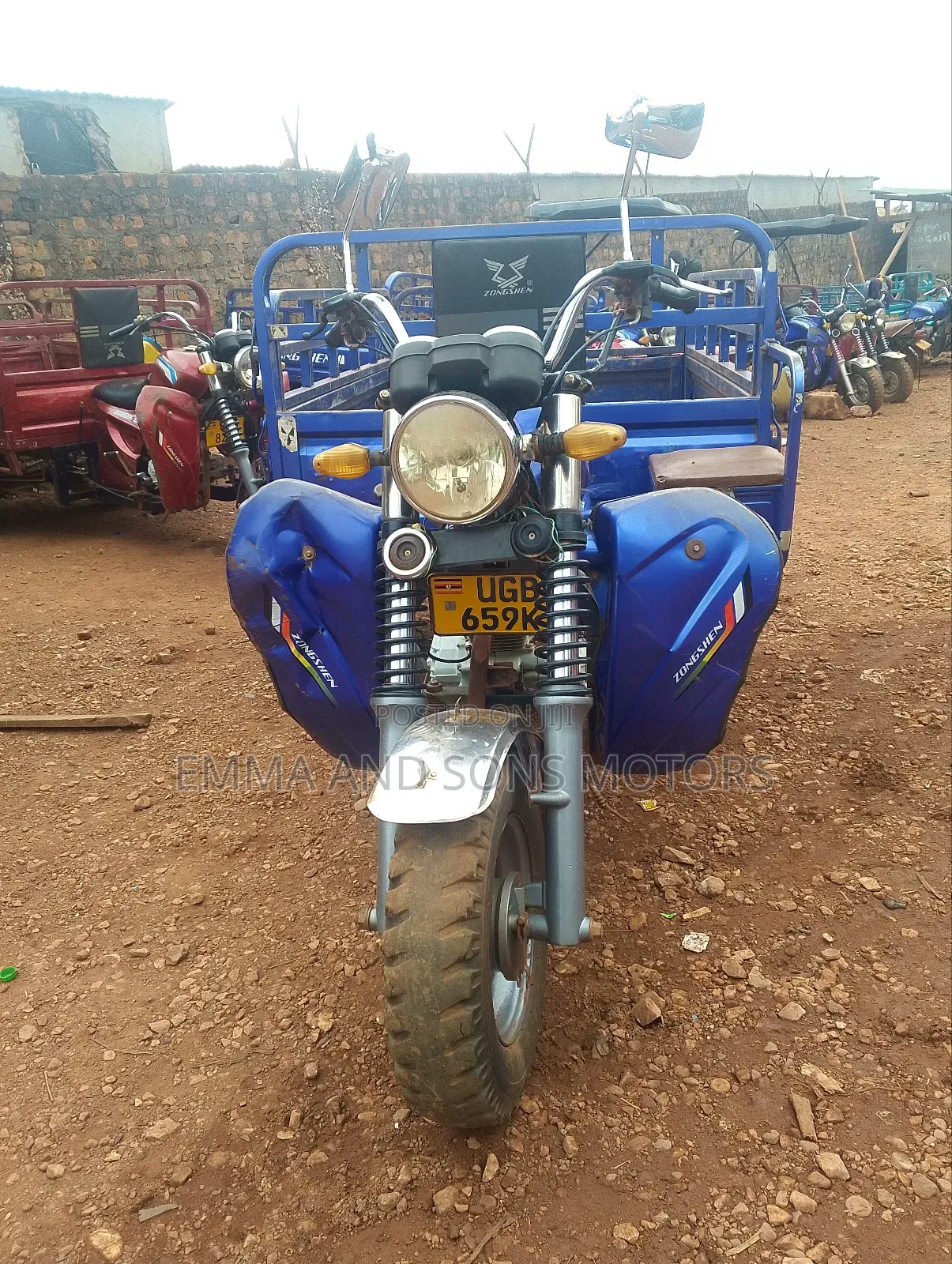 Tricycle 2024 Blue