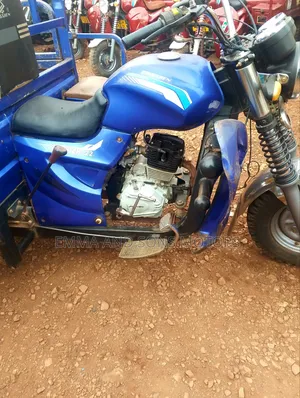 Tricycle 2024 Blue