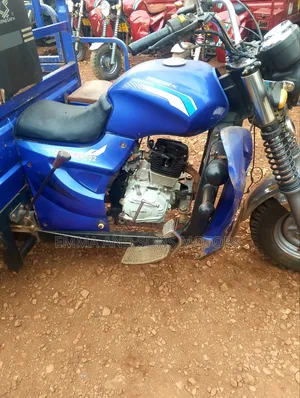 Tricycle 2024 Blue