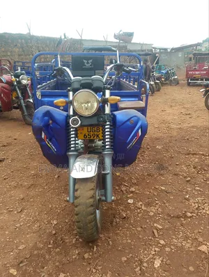Tricycle 2024 Blue