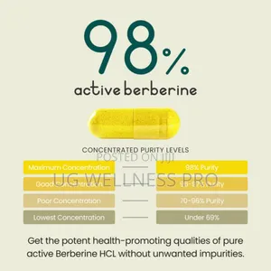 Vitabright Berberine HCL Capsules 90 Capsules ~ 1-3 Month Supply