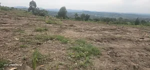 Cheap Agreement For Sale At Kakiri Gobero Hoima Road