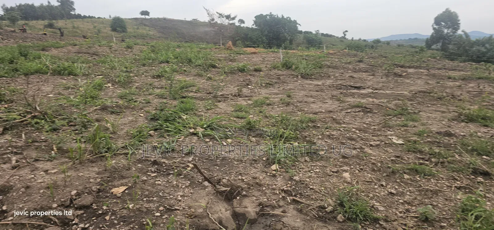 Cheap Agreement For Sale At Kakiri Gobero Hoima Road