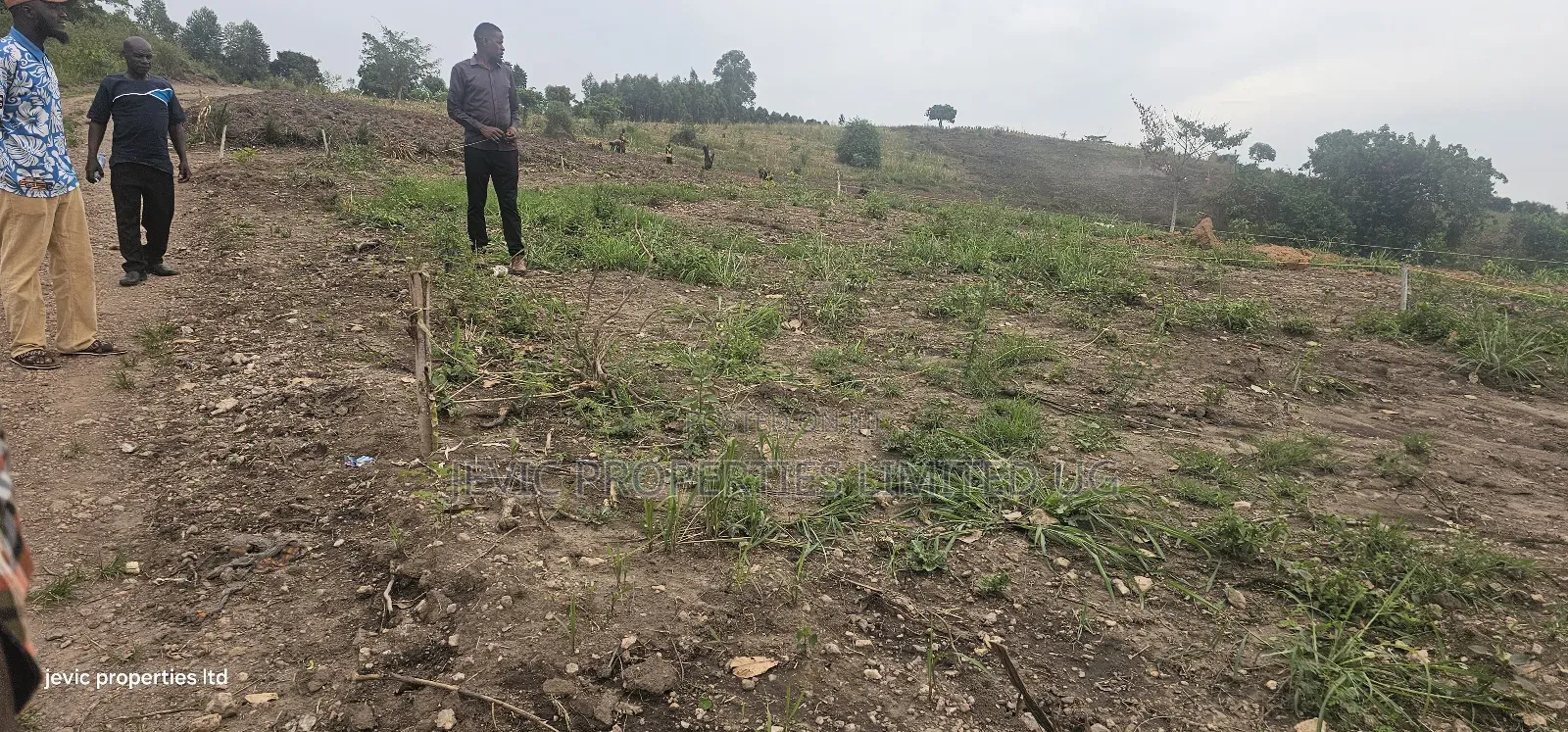 Cheap Agreement For Sale At Kakiri Gobero Hoima Road