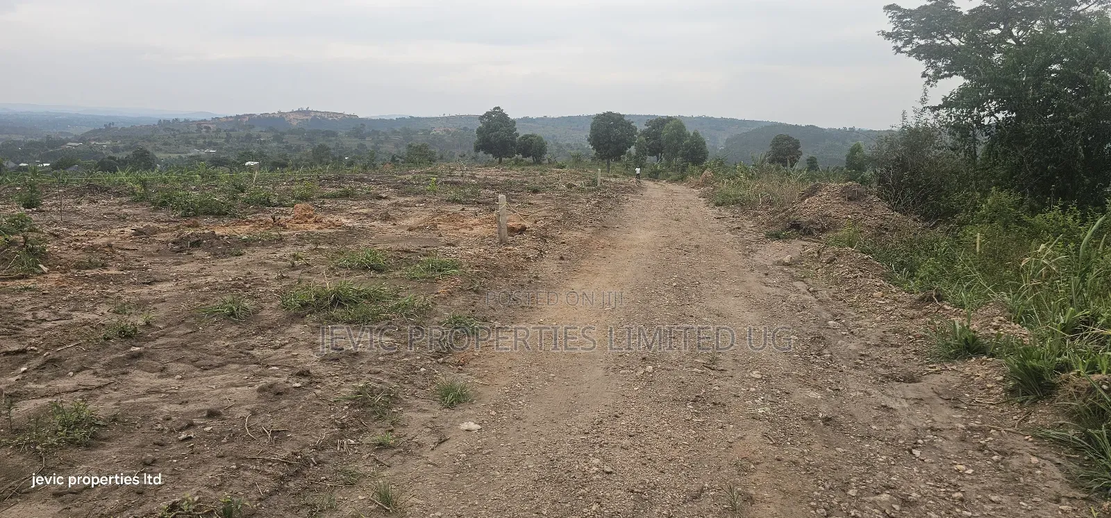 Cheap Agreement For Sale At Kakiri Gobero Hoima Road