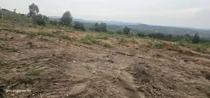 Agreement Estate Plots For Sale At Kakiri Gobero Along Hoima Road.