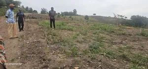 Agreement Estate Plots For Sale At Kakiri Gobero Along Hoima Road.