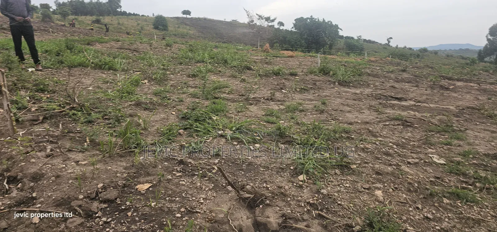 Agreement Estate Plots For Sale At Kakiri Gobero Along Hoima Road.