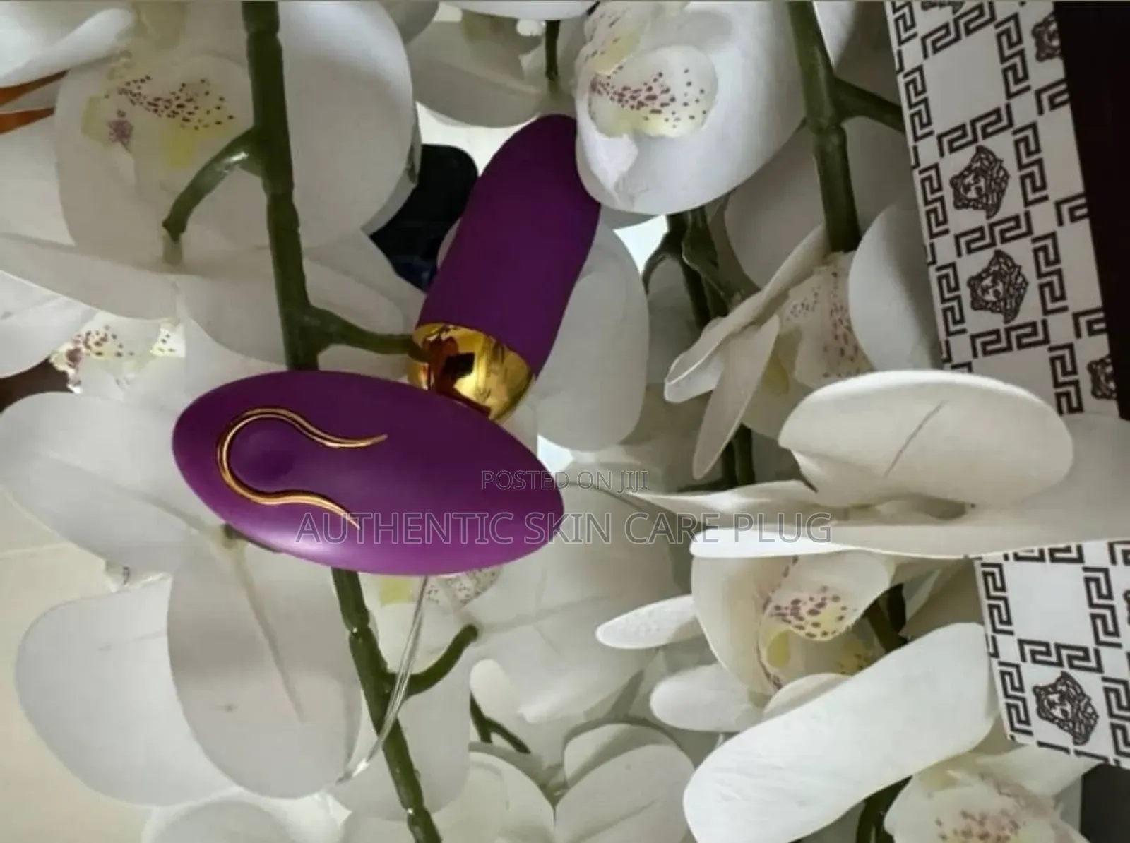 Remote Silicone Egg Vibrator With Dual Motor.